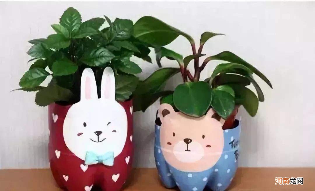 矿泉水瓶手工制作 矿泉水瓶手工制作小车