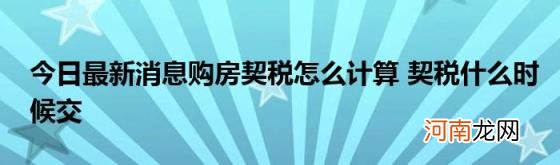 今日最新消息购房契税怎么计算契税什么时候交