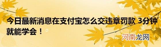 今日最新消息在支付宝怎么交违章罚款3分钟就能学会！