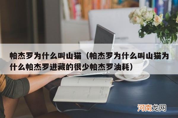 帕杰罗为什么叫山猫为什么帕杰罗进藏的很少帕杰罗油耗 帕杰罗为什么叫山猫