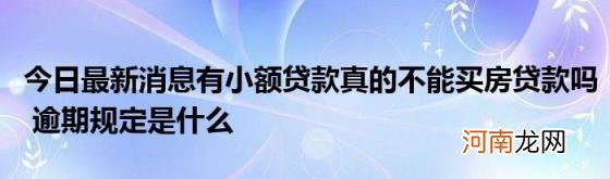 今日最新消息有小额贷款真的不能买房贷款吗逾期规定是什么