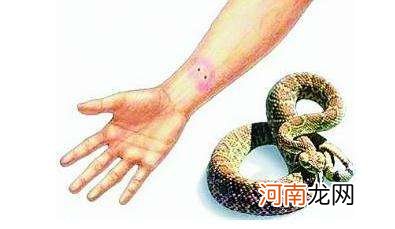 男人梦见自己脚被蛇咬了 男人梦见自己脚被蛇咬了一个洞