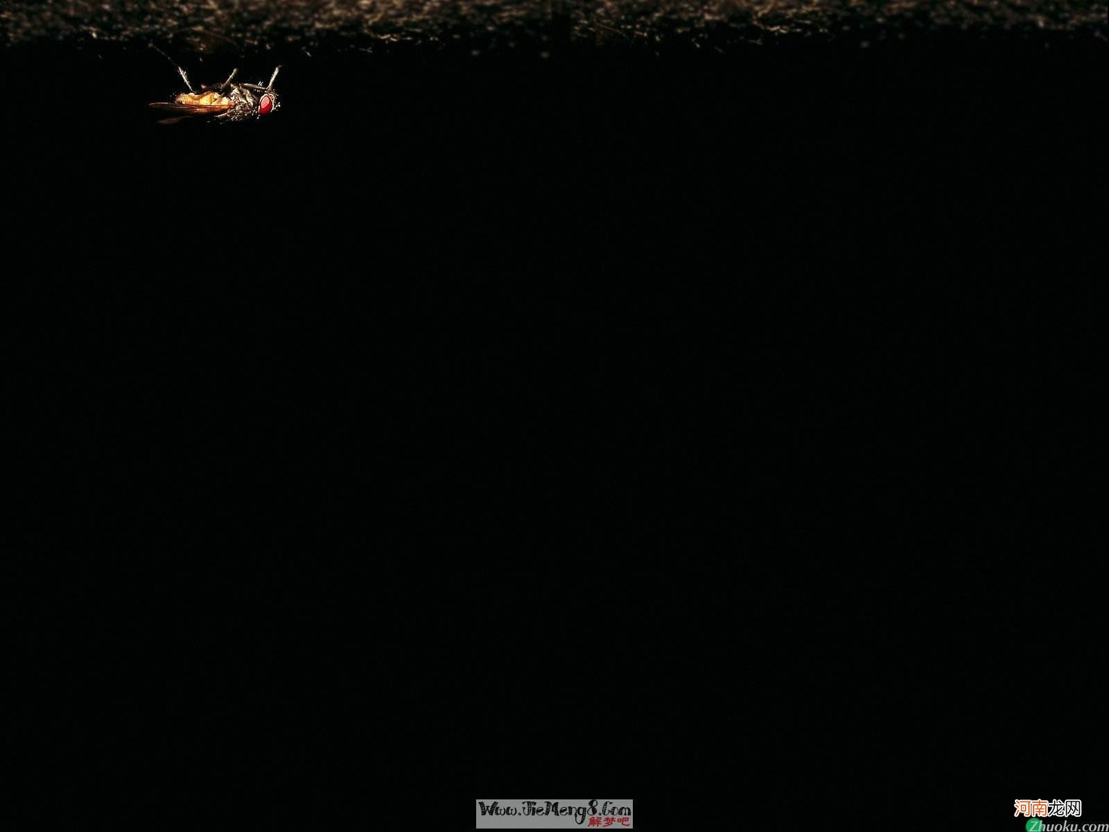 解梦巫婆 女人梦见巫婆