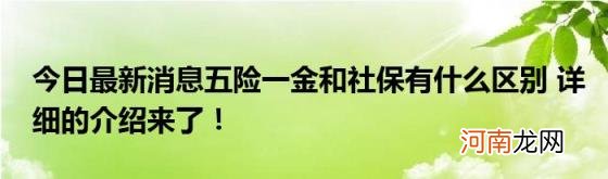 今日最新消息五险一金和社保有什么区别详细的介绍来了!