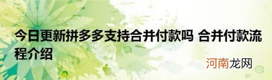 今日更新拼多多支持合并付款吗合并付款流程介绍