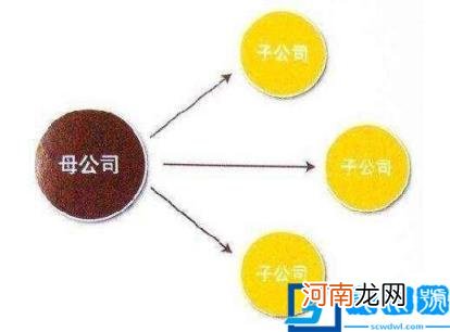 公司设立子公司流程是怎样的 母公司设立全资子公司流程