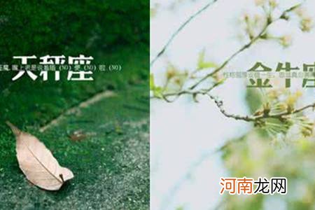 金牛男天秤女 金牛男天秤女配对指数