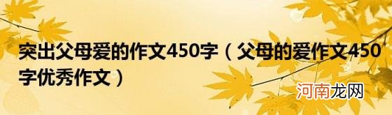 父母的爱作文450字优秀作文 突出父母爱的作文450字