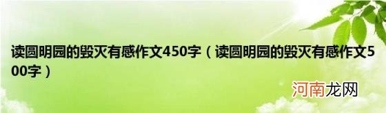 读圆明园的毁灭有感作文500字 读圆明园的毁灭有感作文450字