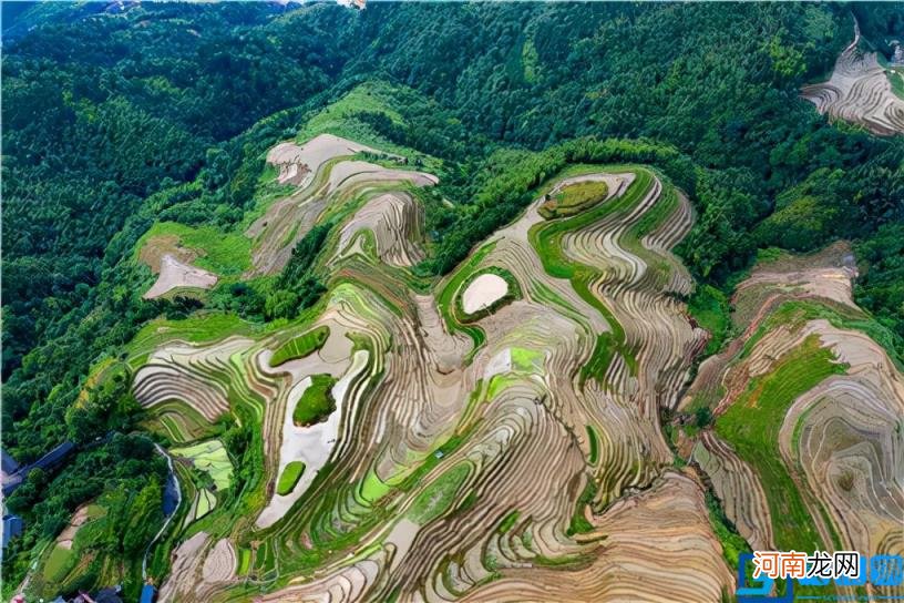 土地复垦标准是什么 土地复垦标准规范