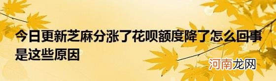 今日更新芝麻分涨了花呗额度降了怎么回事是这些原因