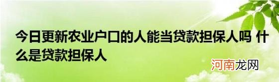 今日更新农业户口的人能当贷款担保人吗什么是贷款担保人