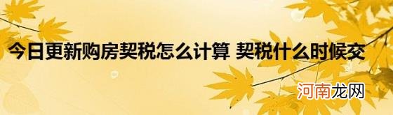 今日更新购房契税怎么计算契税什么时候交