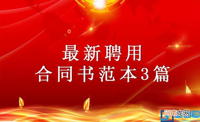 聘任合同怎么写的 最简易的聘用协议书