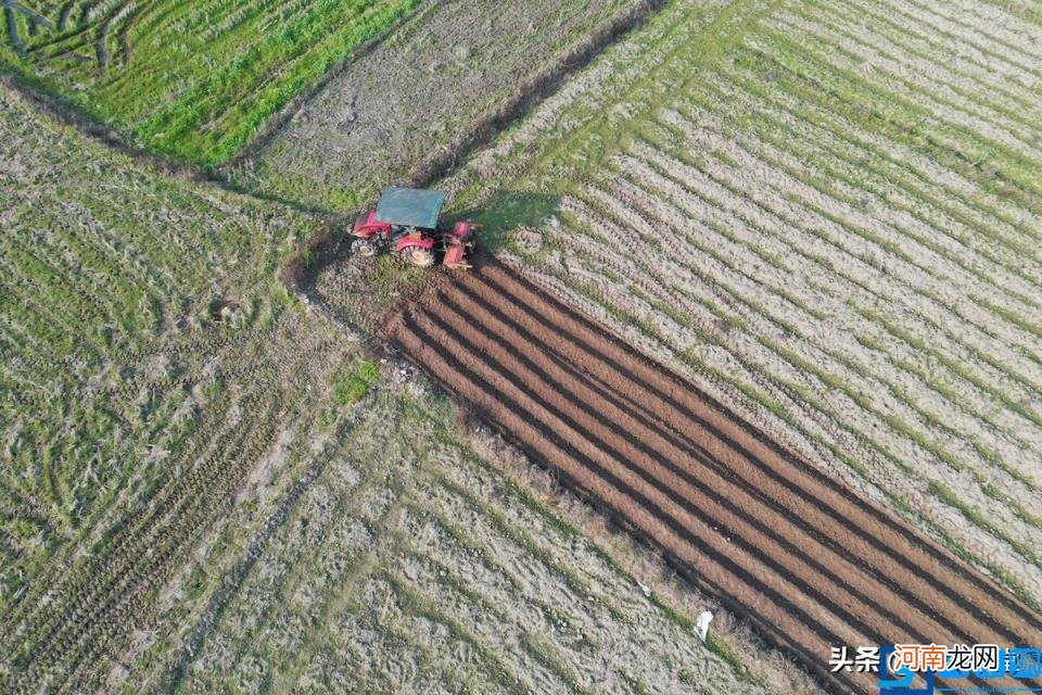 农村土地政策是什么 农村土地确权法律法规