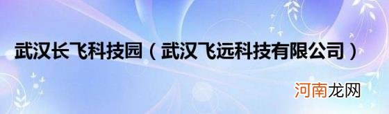 武汉飞远科技有限公司 武汉长飞科技园