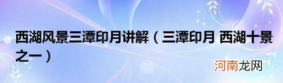 三潭印月西湖十景之一 西湖风景三潭印月讲解