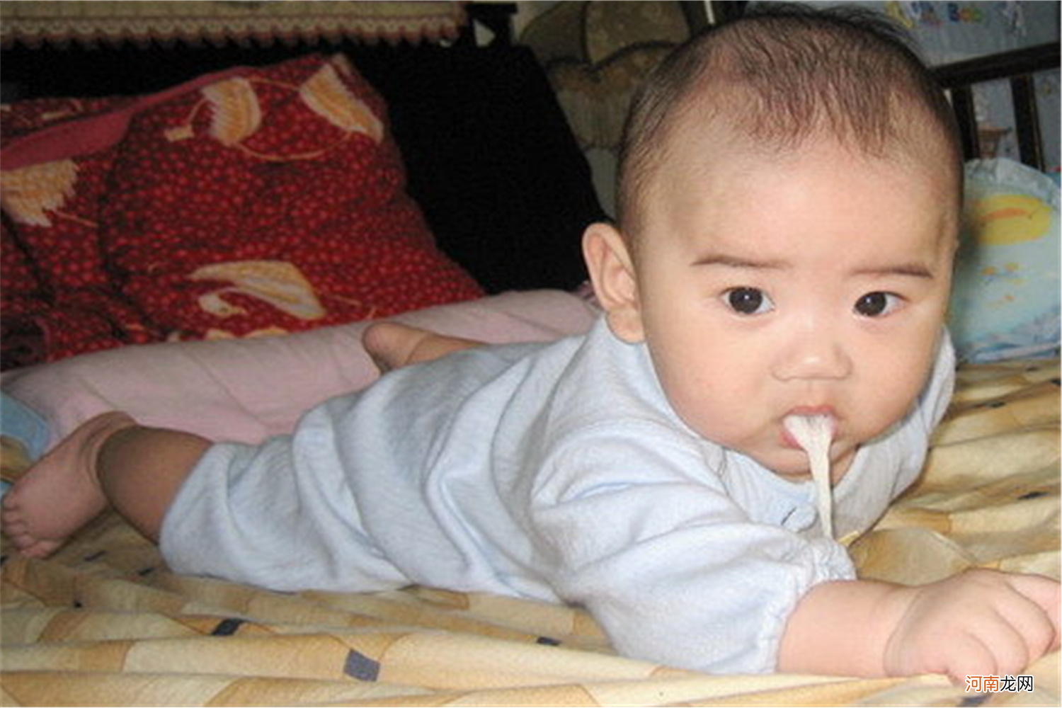 宝宝经常胀气吐奶，如何照顾好宝宝娇嫩的肠胃呢？辅食营养是关键