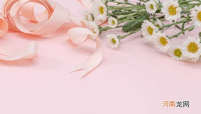 雏菊花语是什么 雏菊的花语是啥