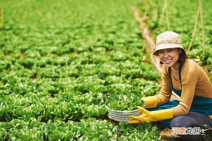 好项目致富创业 创业项目致富挣钱