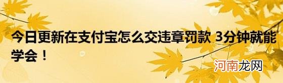 今日更新在支付宝怎么交违章罚款3分钟就能学会！