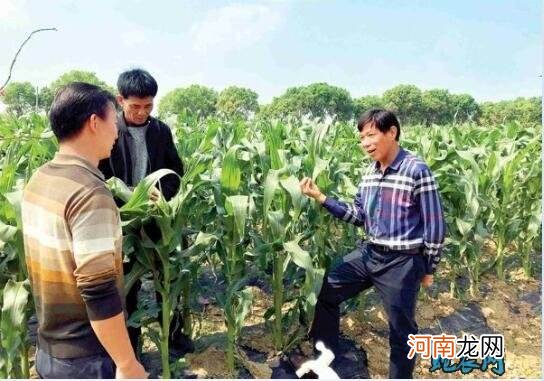 三农创业扶持项目 政府扶持三农企业