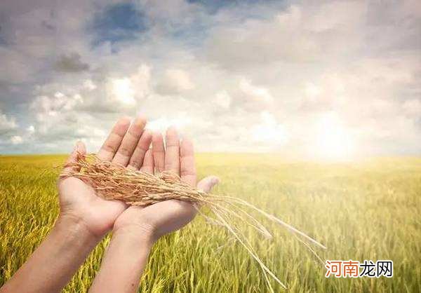 加强金融扶持返乡创业 大学生返乡创业贷款政策