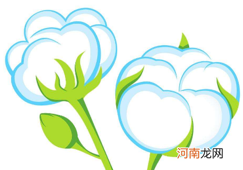 解梦棉花 梦见棉花堆