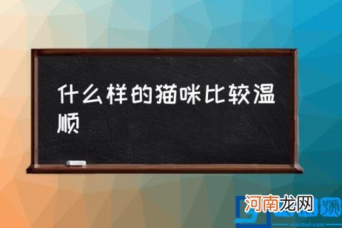 什么样的猫咪比较温顺,哪种猫咪比较温顺听话？