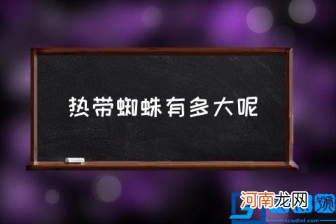 热带蜘蛛有多大呢,世界最大的无毒蜘蛛十大排名？