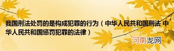 中华人民共和国刑法中华人民共和国惩罚犯罪的法律 我国刑法处罚的是构成犯罪的行为