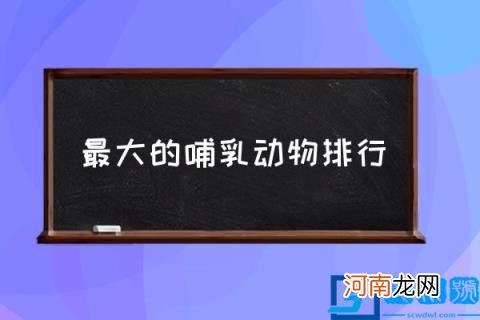 最大的哺乳动物排行,哺乳动物战斗力排行？