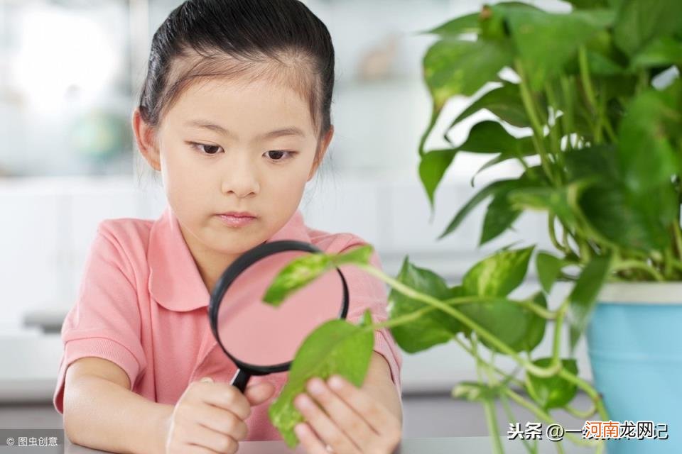 此致敬礼在哪里写 此致敬礼的正确书写格式图片