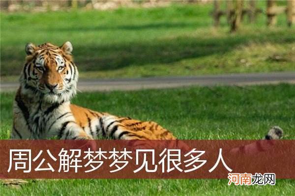 周公解梦梦见接吻 周公解梦梦见接吻别的女人