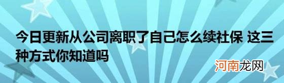 今日更新从公司离职了自己怎么续社保这三种方式你知道吗