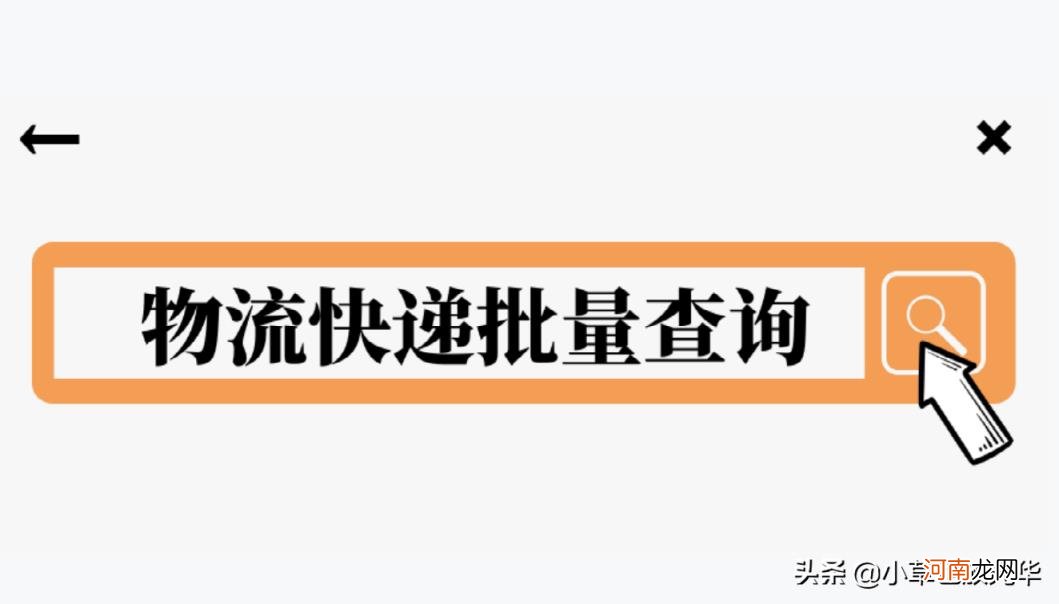 圆通快递查询单号查询物流信息网 圆通快递单号码查快递