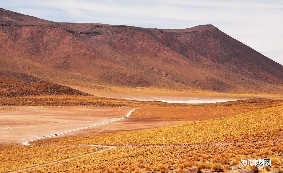 8/19～8/25 周运丨小巫12星座运势