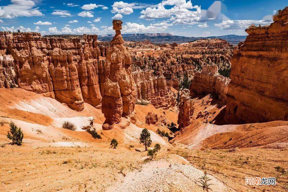 8/19~8/25 周运丨小巫12星座运势