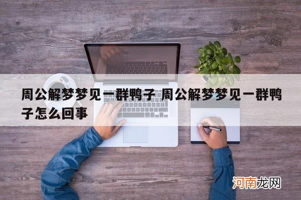 周公解梦梦见一群鸭子 周公解梦梦见一群鸭子怎么回事