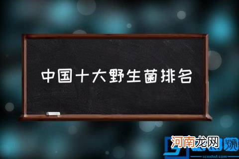 中国十大野生菌排名,可食用的野生菇？