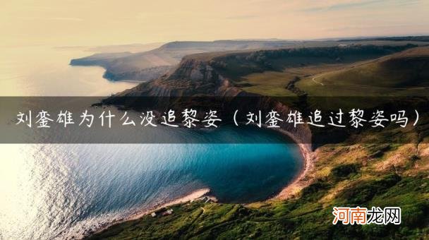 刘銮雄追过黎姿吗 刘銮雄为什么没追黎姿