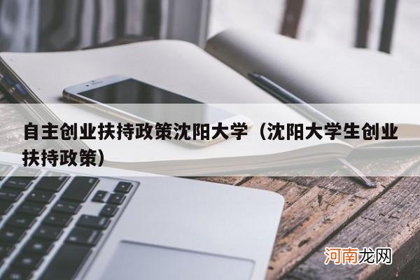 沈阳大学生创业扶持政策 自主创业扶持政策沈阳大学