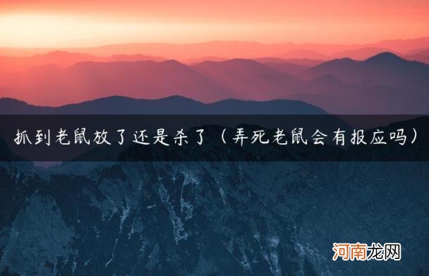 弄死老鼠会有报应吗 抓到老鼠放了还是杀了