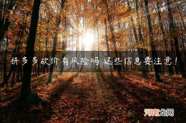 这些信息要注意！ 拼多多砍价有风险吗