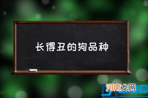 长得丑的狗品种,世界上最丑最大的狗狗？