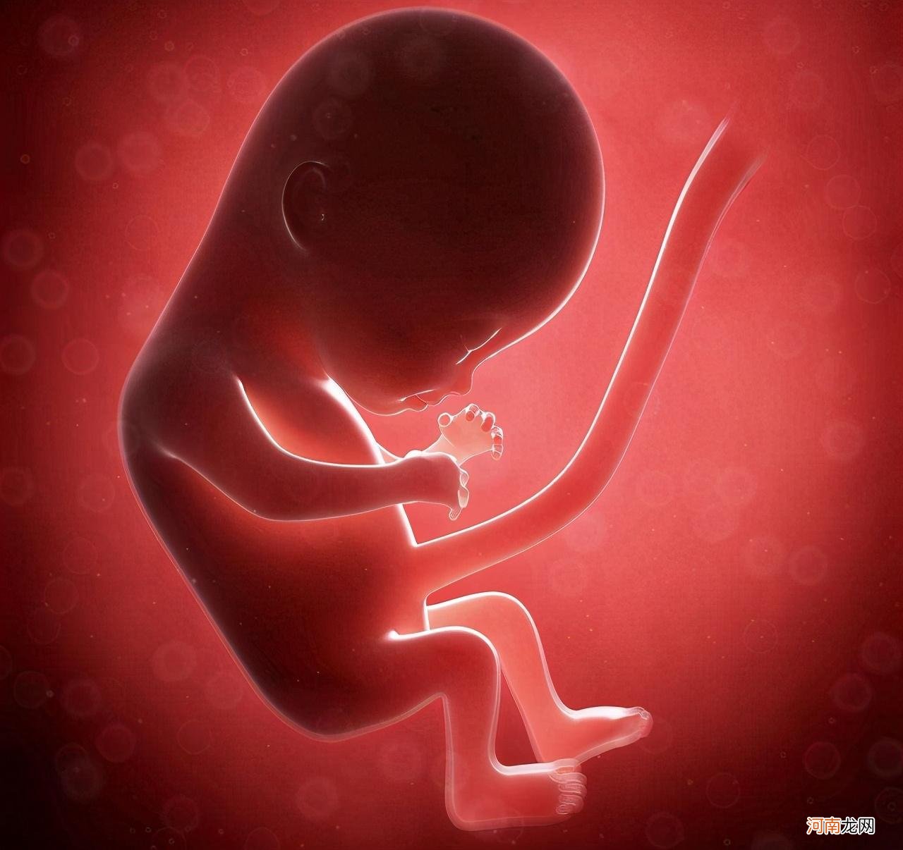 孕期做四维彩超，除了提供胎儿首张“彩照”外，它还有这三大作用