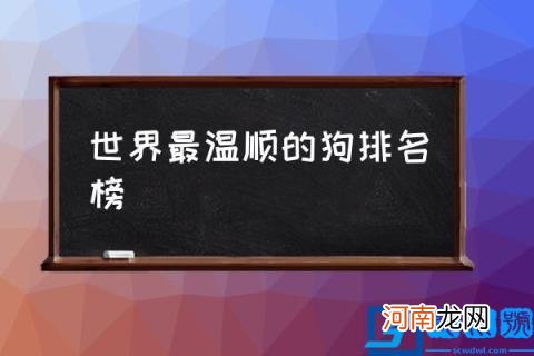 世界最温顺的狗排名榜,什么狗最温顺？