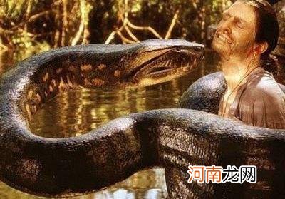 解梦蟒蛇 解梦蟒蛇入宅