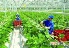广东创业扶持农业公司 广东创业扶持农业公司有哪些