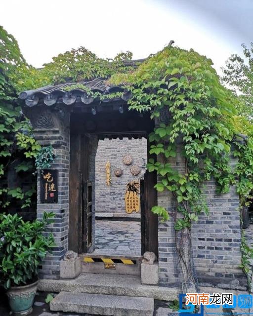 春季有什么花开放? 春季开的有些什么花